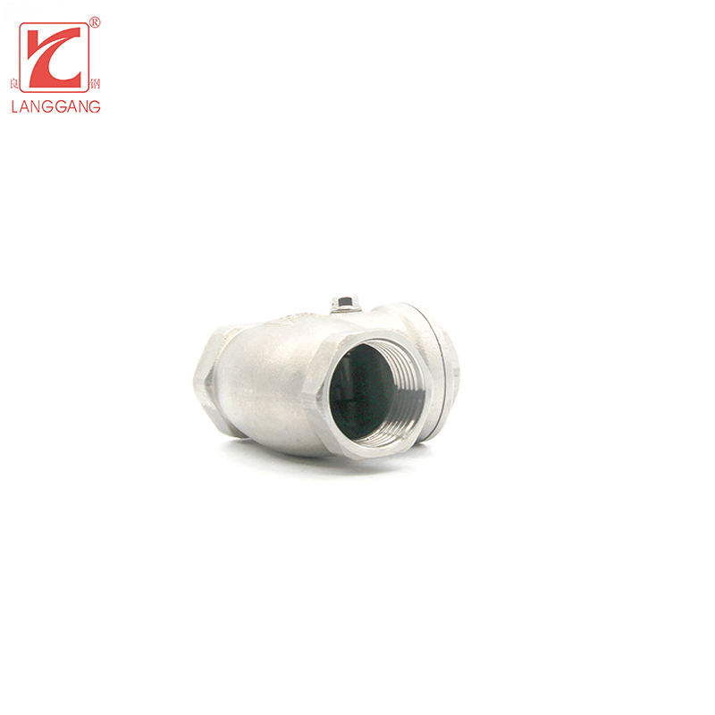 Stainless Steel Check Valve